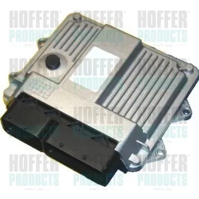 STEROWNIK KOMPUTER SILNIKA ECU  HOFFER