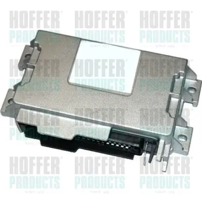 STEROWNIK KOMPUTER SILNIKA ECU  HOFFER