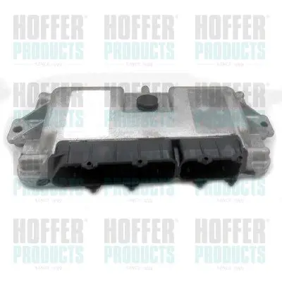 STEROWNIK KOMPUTER SILNIKA ECU  HOFFER